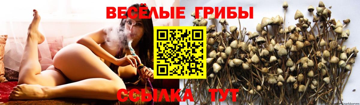 Псилоцибиновые грибы MAGIC MUSHROOMS  Вход с VPN  Реутов 